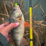 Nitro Spin Ultra Light 210 3-9g