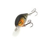 Chubby Special 45 Mat Tiger