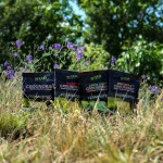 Stég Fermented Groundbait 900g