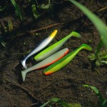 Flat Minnow shad 18cm 2db/cs (Moonshine Bleak)