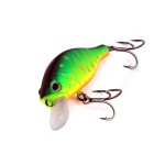 Fat Minnow 40 - Golden Tiger