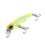 S-Minnow 80 - SFC Special