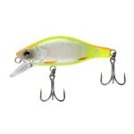 Fat Minnow 40 - SFC Special