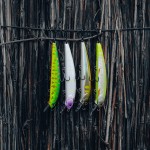 Z-Minnow 115 - Shiny Ayu
