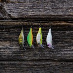 Fat Minnow 50 - SFC Special