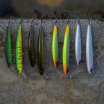 S-Minnow 95 - SFC Special