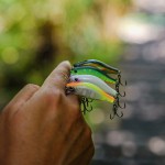Fat Minnow 50 - SFC Special