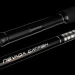Nevada Catfish 240 300-500g